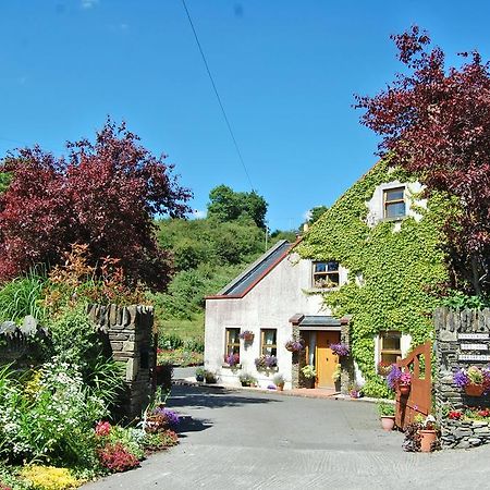 Tinnycross House B&B Ballymore Eustace Bagian luar foto