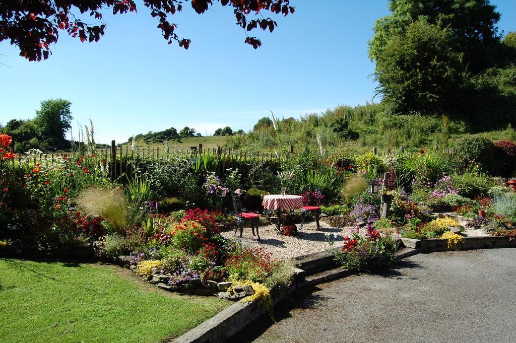 Tinnycross House B&B Ballymore Eustace Bagian luar foto