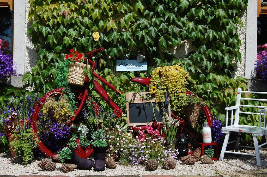Tinnycross House B&B Ballymore Eustace Bagian luar foto