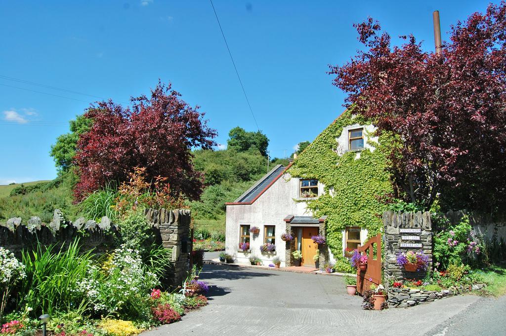 Tinnycross House B&B Ballymore Eustace Bagian luar foto