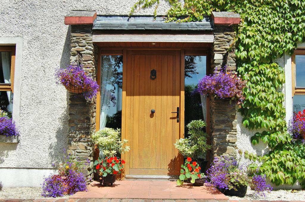 Tinnycross House B&B Ballymore Eustace Bagian luar foto