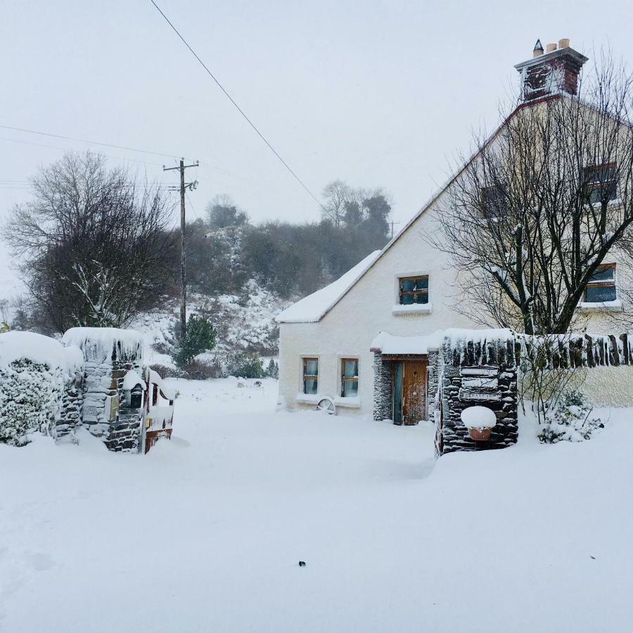 Tinnycross House B&B Ballymore Eustace Bagian luar foto