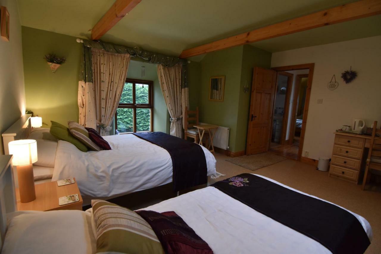 Tinnycross House B&B Ballymore Eustace Bagian luar foto