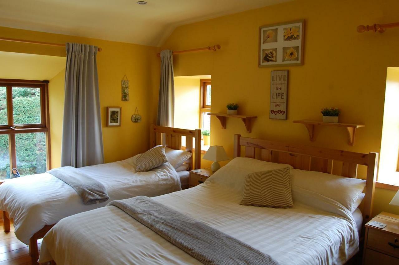 Tinnycross House B&B Ballymore Eustace Bagian luar foto